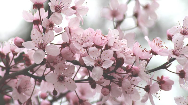 常见问题:六个高频顾虑