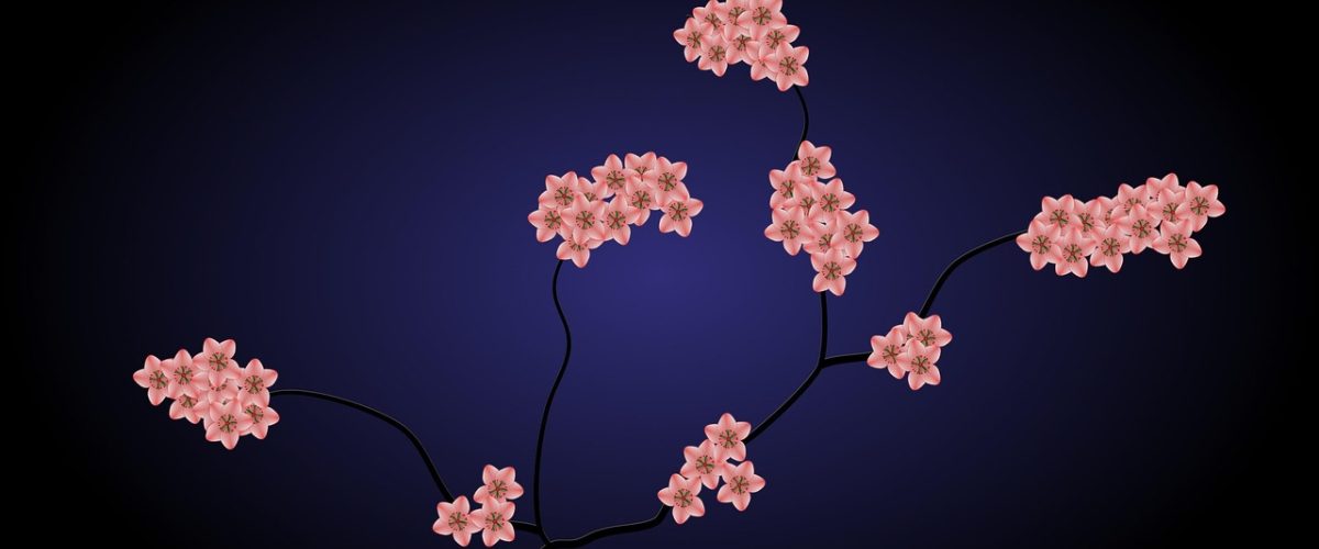 樱井莉亚演艺解析专题视频封面，深色背景配青柠绿主色调，专业影迷制作风格